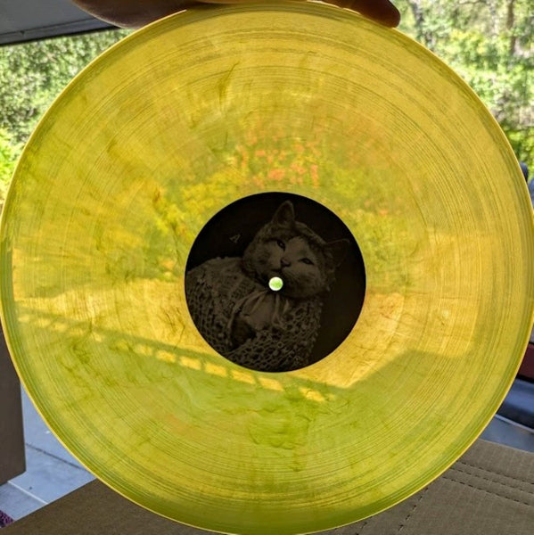 THE ATOM AGE "S/T" 12" VINYL