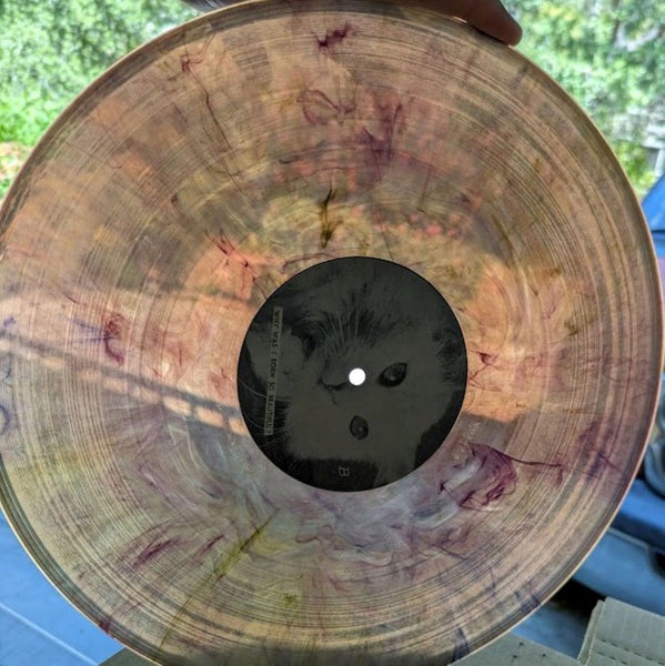 THE ATOM AGE "S/T" 12" VINYL