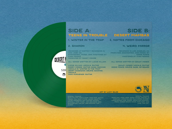 TEENS IN TROUBLE / DESERT MAMBAS 12" VINYL