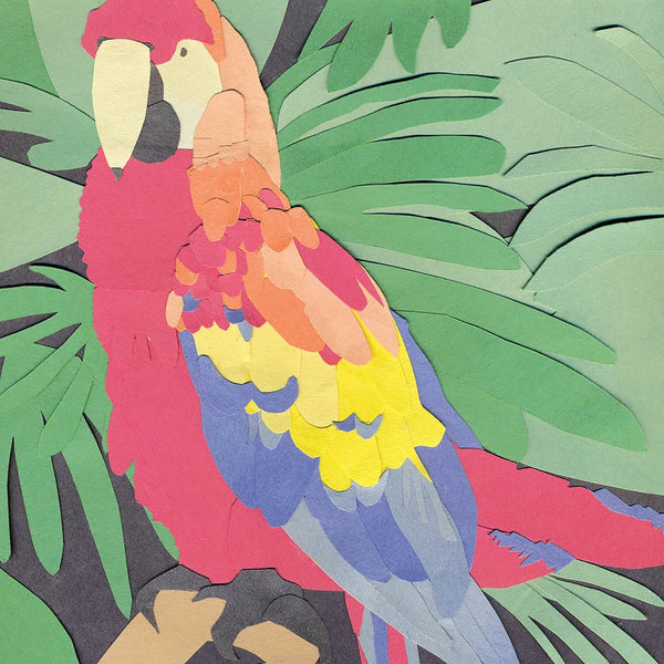 ALGERNON CADWALLADER "Parrot Flies" 12" VINYL