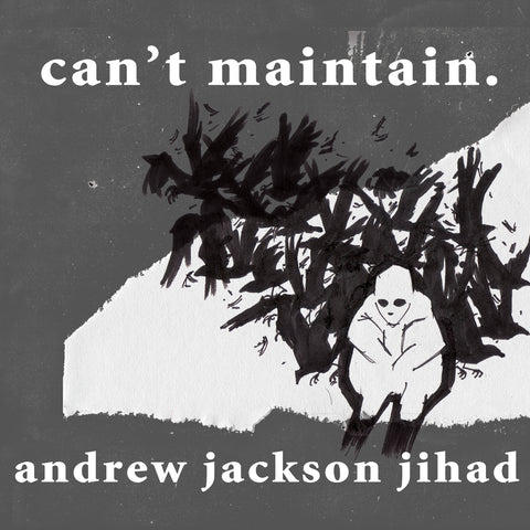 AJJ "Can't Maintain" CD