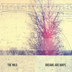 THE WILD "Dreams Are Maps" LP, CD